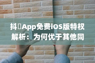 抖抈App免费iOS版特权解析：为何优于其他同类型应用 探究独到之处 v6.8.6下载