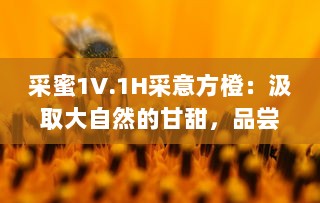 采蜜1V.1H采意方橙：汲取大自然的甘甜，品尝专家精心挑选的独特水果味道