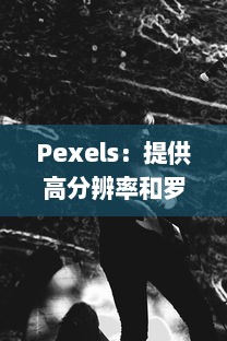 Pexels：提供高分辨率和罗列各种分类的免费照片库，让美学与创意无限可能