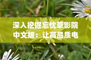 深入挖掘忘忧草影院中文版：让高品质电影文化与国人心灵深处的情感触动相融合 v3.4.3下载