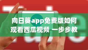 向日葵app免费版如何观看西瓜视频 一步步教你畅享流畅体验 v7.1.3下载