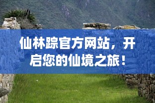 仙林踪官方网站，开启您的仙境之旅！