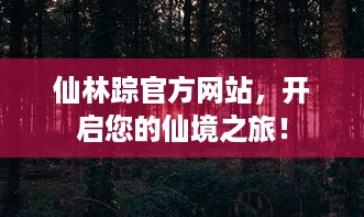 仙林踪官方网站，开启您的仙境之旅！