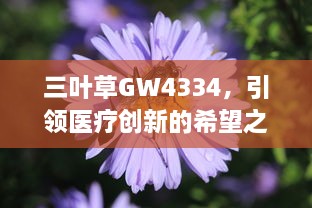 三叶草GW4334，引领医疗创新的希望之花