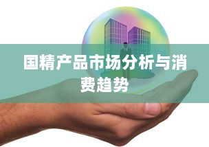 国精产品市场分析与消费趋势