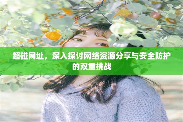 超碰网址，深入探讨网络资源分享与安全防护的双重挑战