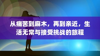 从痛苦到麻木，再到亲近，生活无常与接受挑战的旅程