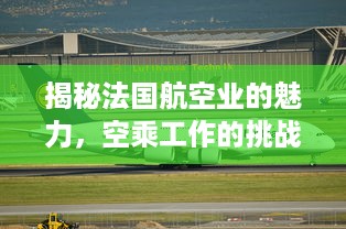 揭秘法国航空业的魅力，空乘工作的挑战与乐趣