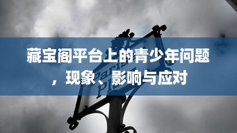 藏宝阁平台上的青少年问题，现象、影响与应对