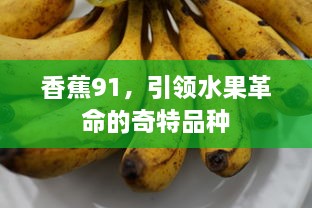 香蕉91，引领水果革命的奇特品种