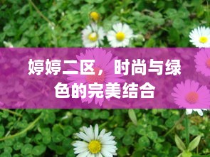 婷婷二区，时尚与绿色的完美结合