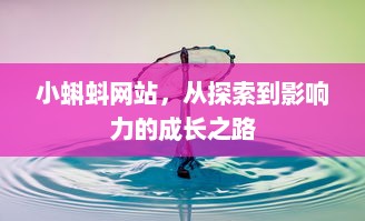 小蝌蚪网站，从探索到影响力的成长之路