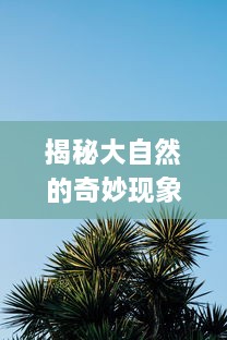 揭秘大自然的奇妙现象，含羞草的感应反应视频在线观看及科学原理解析