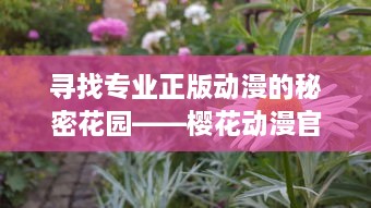 寻找专业正版动漫的秘密花园——樱花动漫官方正版入口指南