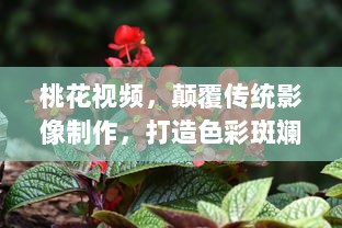 桃花视频，颠覆传统影像制作，打造色彩斑斓的视觉盛宴