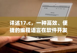 详述17.c，一种高效、便捷的编程语言在软件开发中的关键应用与优势