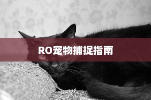 RO宠物捕捉指南