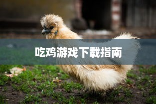 吃鸡游戏下载指南